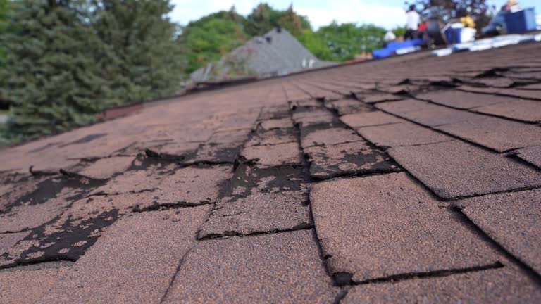 Booker, TX Roofing Service Company