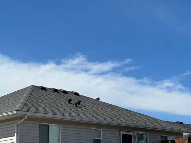 Best Storm Damage Roof Repair  in Booker, TX